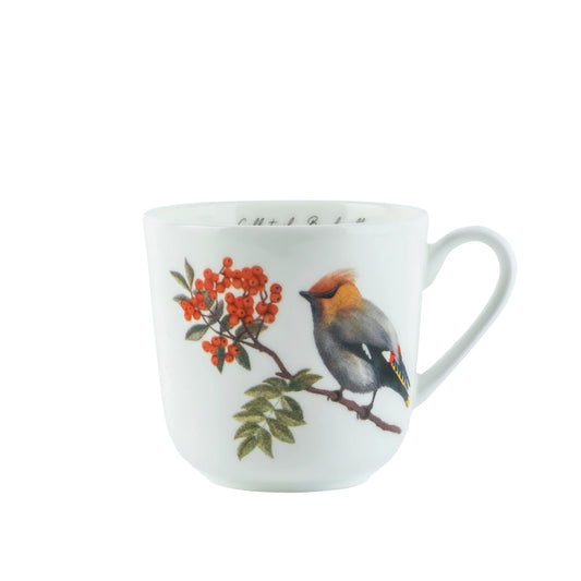 KRUS 30 CL SIDENSVANS