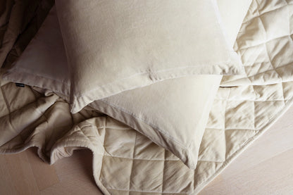 Turiform Ana sengeteppe