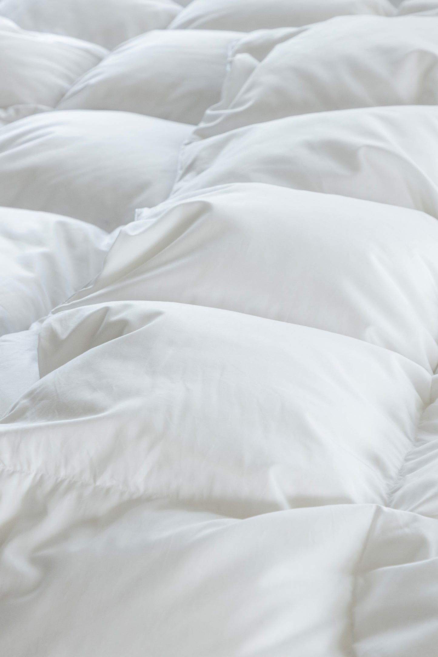 Norsk Dun 50 % andedundyne